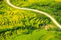 Laocai Vietnam Vietnam Paddy fields, terraced culture, Sapa, Vietnam