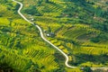 Laocai Vietnam Vietnam Paddy fields, terraced culture, Sapa, Vietnam