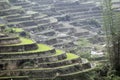 Laocai Vietnam April 18 2015 Vietnam Paddy fields, terraced culture, Sapa, Vietnam