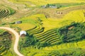 Laocai Vietnam Vietnam Paddy fields, terraced culture, Sapa, Vietnam