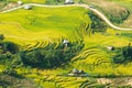 Laocai Vietnam Vietnam Paddy fields, terraced culture, Sapa, Vietnam