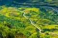 Laocai Vietnam Vietnam Paddy fields, terraced culture, Sapa, Vietnam Royalty Free Stock Photo