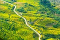 Laocai Vietnam Vietnam Paddy fields, terraced culture, Sapa, Vietnam Royalty Free Stock Photo