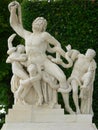 Laocoonte Royalty Free Stock Photo