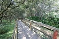 Wooden walkway on qingyuanshan mountain, adobe rgb