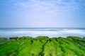 Laomei Green Reef - Taiwan North Coast seasonal features, shot in Shimen District, New Taipei, Taiwan. Royalty Free Stock Photo