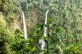 Laos Bolaven plateau Tad Fane waterfall