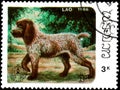 LAOS - CIRCA 1986: postage stamp, printed in Laos, shows Pointing Griffon dog