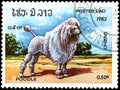 LAOS - CIRCA 1982: postage stamp, printed in Laos, shows a Poodle dog