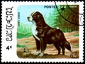 LAOS - CIRCA 1986: postage stamp, printed in Laos, shows Sheepdog