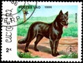 LAOS - CIRCA 1986: postage stamp, printed in Laos, shows Bernese