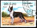 LAOS - CIRCA 1982: postage stamp, printed in Laos, shows a Boston-Terrier dog