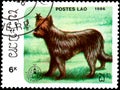 LAOS - CIRCA 1986: postage stamp, printed in Laos, shows briard