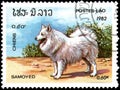 LAOS - CIRCA 1982: postage stamp, printed in Laos, shows a Samoyed Dog