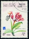 LAOS - CIRCA 1988: stamp shows flowering plant Plumeria rubra