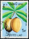 LAOS - CIRCA 1989: stamp 5 Laotian kip printed by Lao People\'s Democratic Republic, shows fruiting plant Mani Ikara Zapota