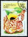 LAOS - CIRCA 1995: A stamp printed in Laos from the `Insectivorous Plants` issue shows Nepenthes ampullaria, circa 1995.