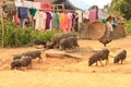 Laos hill tribe village on the way from Vangvieng to Luang Prabang Royalty Free Stock Photo