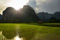 Laos Rice field betwee mountains with Rice Hut early in the moring. Asia food growing