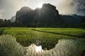 Laos Rice field betwee mountains with Rice Hut early in the moring. Asia food growing Royalty Free Stock Photo