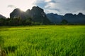 Laos Rice field betwee mountains with Rice Hut early in the moring. Asia food growing