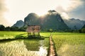 Laos Rice field betwee mountains with Rice Hut early in the moring. Asia food growing