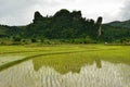 Laos Rice field betwee mountains with Rice Hut early in the moring. Asia food growing