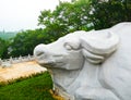 Laoshan Taiqinggong stone calf