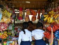 Laotian Schoolgirls