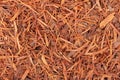 Lapacho herbal tea background. Natural Taheeboo dry tea. Pau d'arco herb. Tabebuia heptophylla.