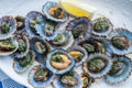 Raw `Lapas` or true limpets - traditional seafood of Tenerife and Madeira Islands Royalty Free Stock Photo