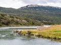 Lapataia River and trail of Island hike, Paseo de la isla in Terra del Fuego National Park, Patagonia, Argentina
