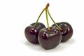 Lapin Cherries