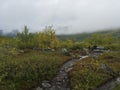 Lapland nature at Kungsleden hiking trail with green mountains, Teusajaure lake, rock boulders, autumn colored bushes, birch tree