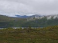 Lapland nature at Kungsleden hiking trail with green mountains, Teusajaure lake, rock boulders, autumn colored bushes, birch tree 