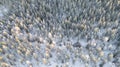 Lapland, Scandinavia in winter. Aerial view of winter forest covered in snow, drone photography Royalty Free Stock Photo