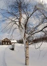 Lapland in the winter when white cold snow coveres the trees and houses Royalty Free Stock Photo