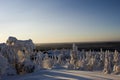 Lapland winter wonderland