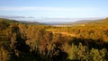 Lappland autumn forest