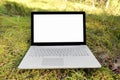 Laptop with blank screen on the moss in the forest Royalty Free Stock Photo
