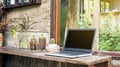 Laptop and cactus near a window