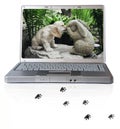 Laptop with cocker spaniel on screen