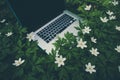 Laptop computer at the natural forest background, spring flowers Royalty Free Stock Photo