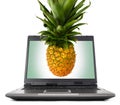 Laptop Computer with Pineapple Royalty Free Stock Photo
