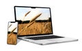 Laptop computer and smartphone with landscape of the wheat field on screen