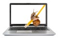 Laptop computer with a snail crawling on a yellow network cable Royalty Free Stock Photo