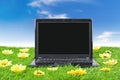 Laptop computer surrounded by sunflowers Royalty Free Stock Photo