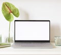 Laptop or computer with white screen on the white table with anthurium flower in vase. Home office workspace concept. Royalty Free Stock Photo