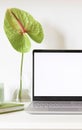 Laptop or computer with white screen on the white table with anthurium flower in vase. Home office workspace concept. Royalty Free Stock Photo