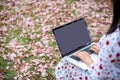 Laptop computers on the lap of woman with pink flowers Royalty Free Stock Photo